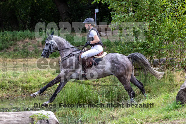 Late-Entry Vielseitigkeit Hamminkeln/Wesel (01.+02.08.2020)