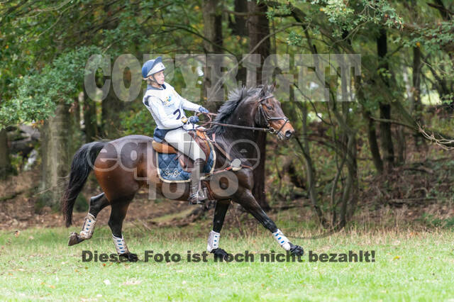 Vielseitigkeit RSV Wesel Obrighoven (26.+27.09.2020)