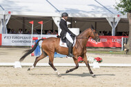 FEI European Championship Eventing 2017