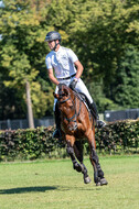 Kronenberg - De Peelbergen (August 2020)