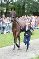 FEI European Championship Eventing 2017