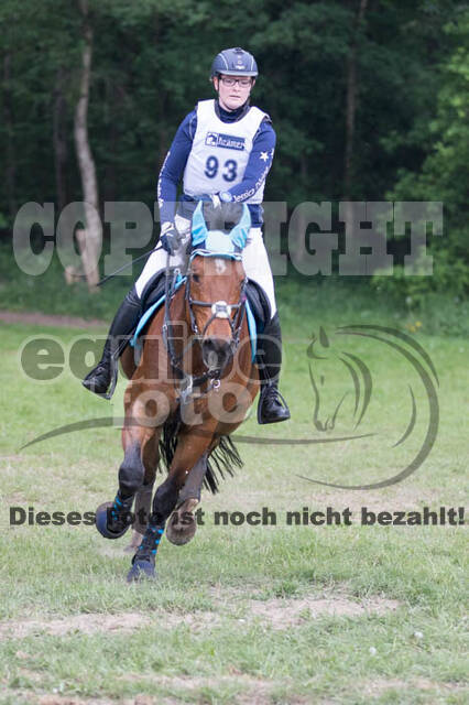 Vielseitigkeitsturnier ZRFV von Lützow Hamminkeln