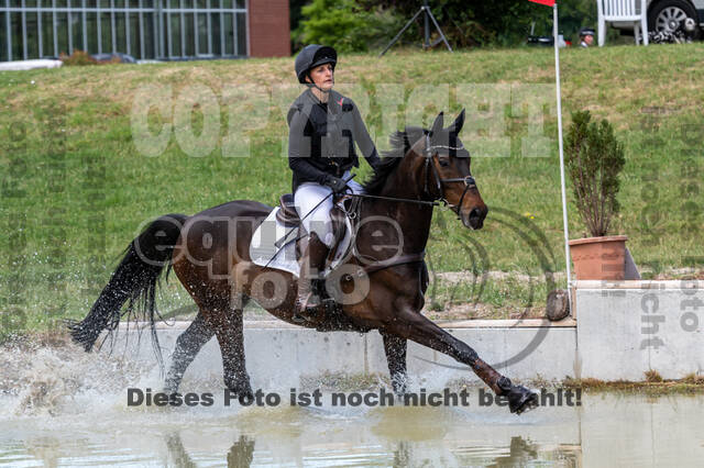 Late-Entry-Vielseitigkeit Langenfeld (11.+13./14.06.2020)