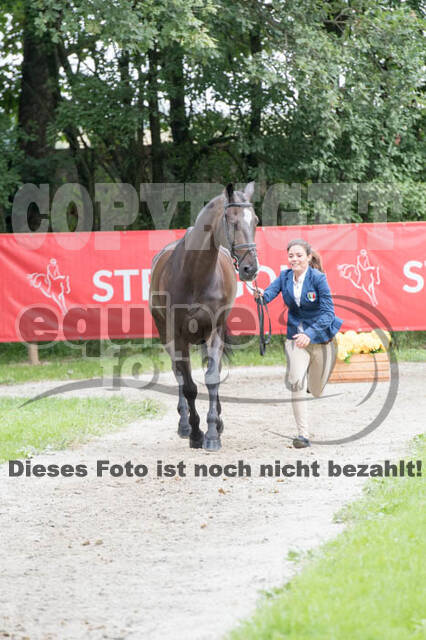 FEI European Championship