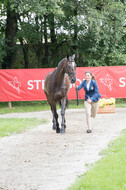 FEI European Championship
