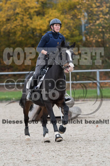 IGV Lehrgang der Sieger der Cups mit Frank Ostholt