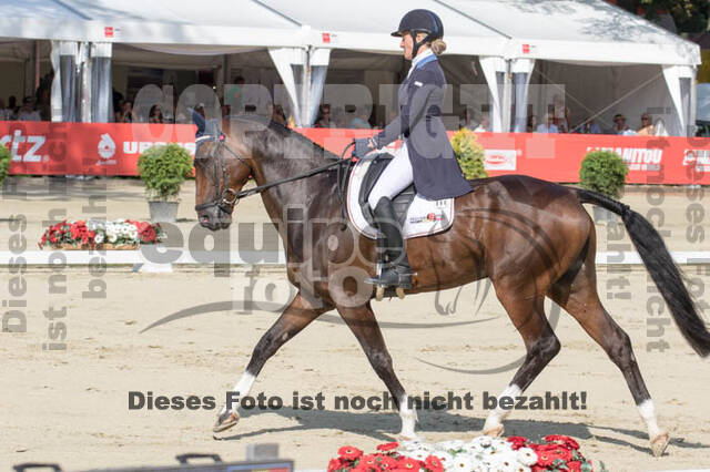 FEI European Championship Eventing 2017