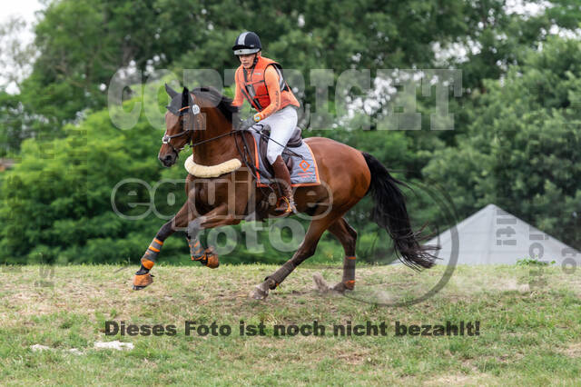 Late-Entry-Vielseitigkeit Langenfeld (11.+13./14.06.2020)