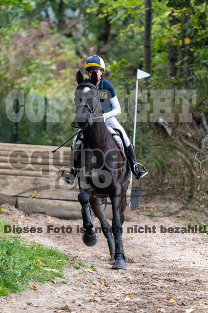 Goldene Schärpe 2020 - Pferde