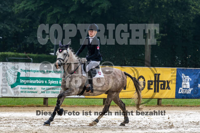 Goldene Schärpe 2021 - Ponys