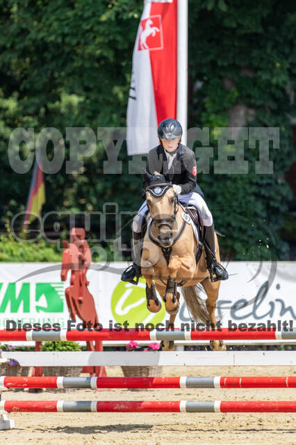 Goldene Schärpe 2021 - Ponys