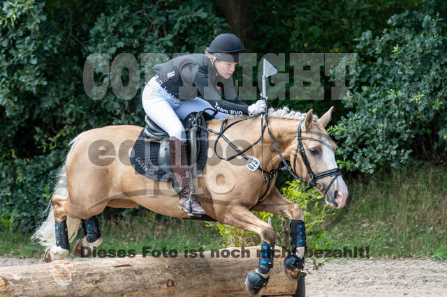 Late-Entry-Vielseitigkeit Langenfeld (06.+07.07.2020)