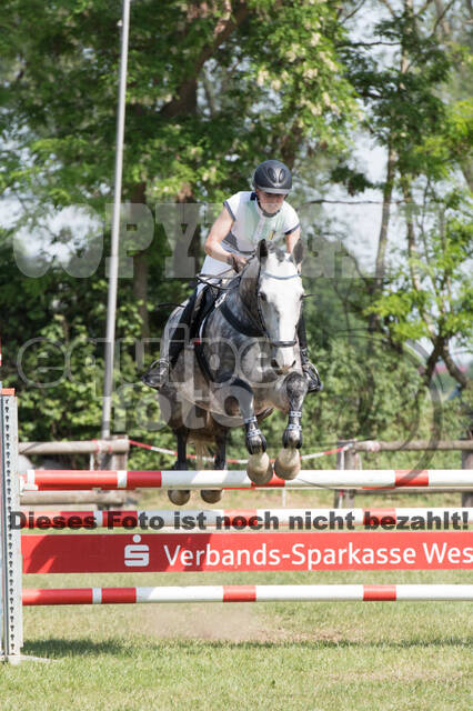 Vielseitigkeitsturnier ZRuFV von Lützow Hamminkeln