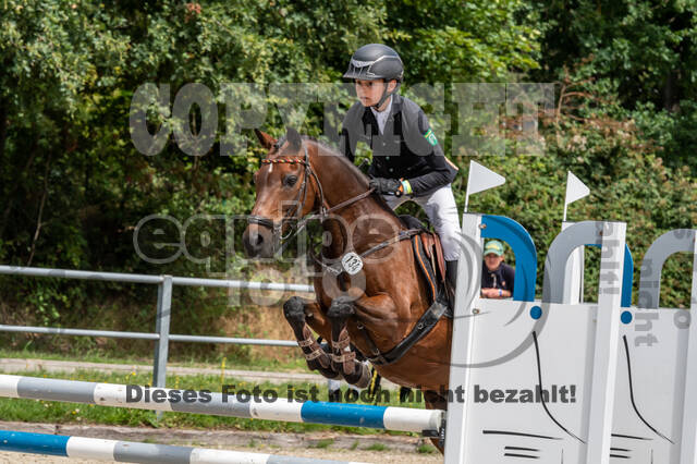 Late-Entry-Vielseitigkeit Langenfeld (06.+07.07.2020)