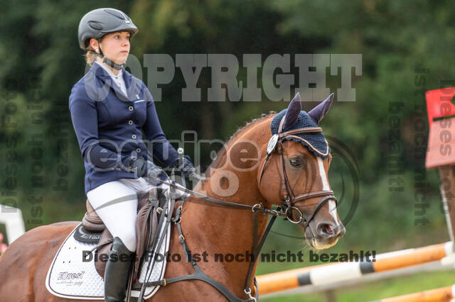 Vielseitigkeit RSV Wesel Obrighoven (26.+27.09.2020)