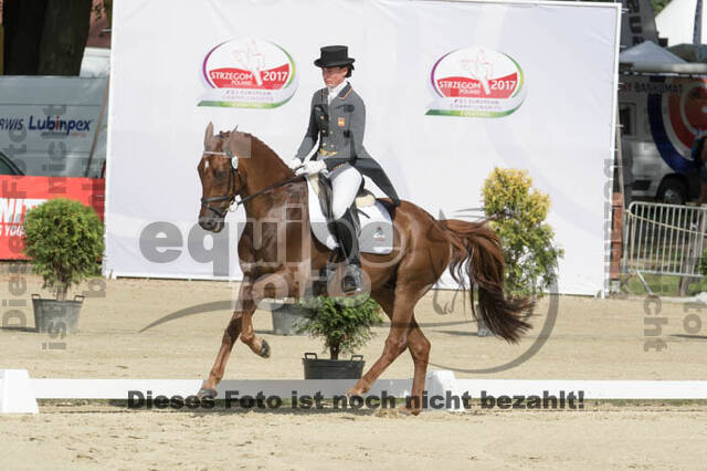 FEI European Championship Eventing 2017