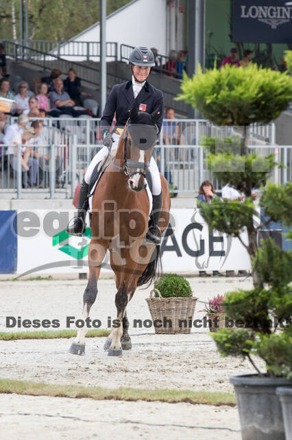 FEI European Championship Eventing 2019