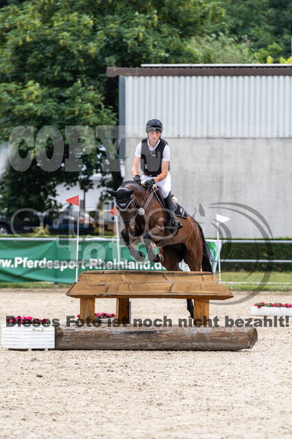 Late-Entry-Vielseitigkeit Langenfeld (11.+13./14.06.2020)