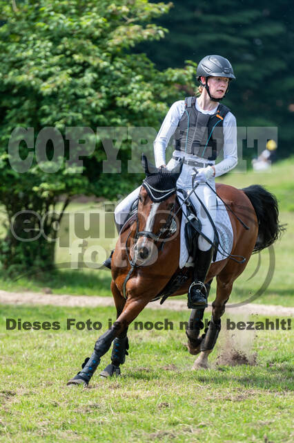 Goldene Schärpe 2021 - Ponys