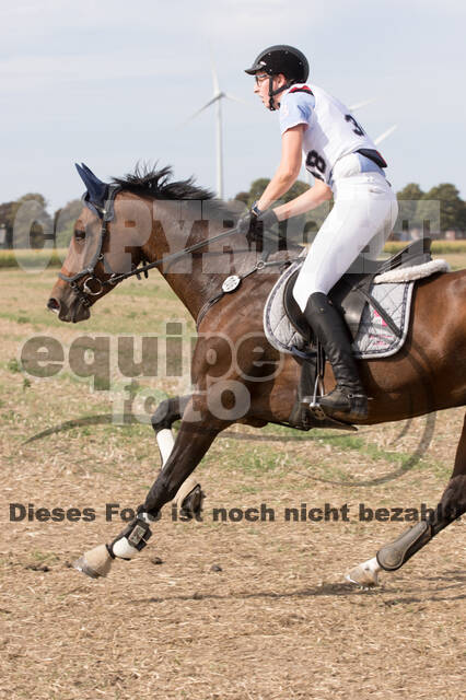 IGV Kleve - Vielseitigkeitsturnier