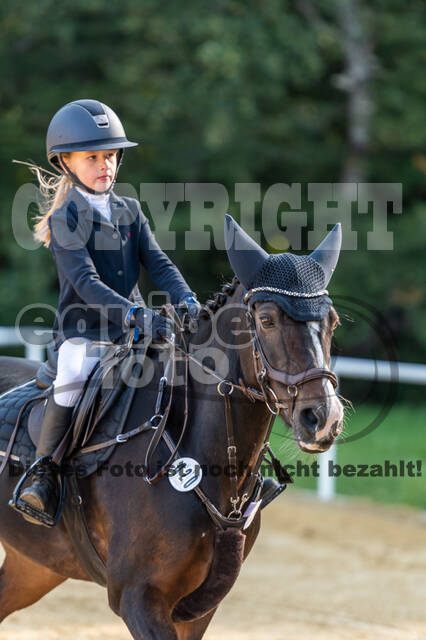 RFV Dinslaken-Hiesfeld (Herbstturnier)