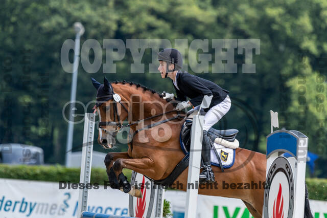 Goldene Schärpe 2021 - Ponys