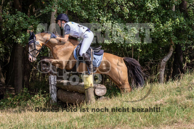 Late-Entry Vielseitigkeit Hamminkeln/Wesel (01.+02.08.2020)
