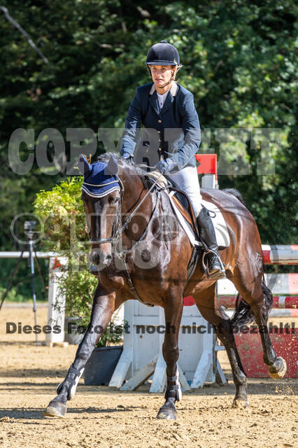 RFV Dinslaken-Hiesfeld (Herbstturnier)