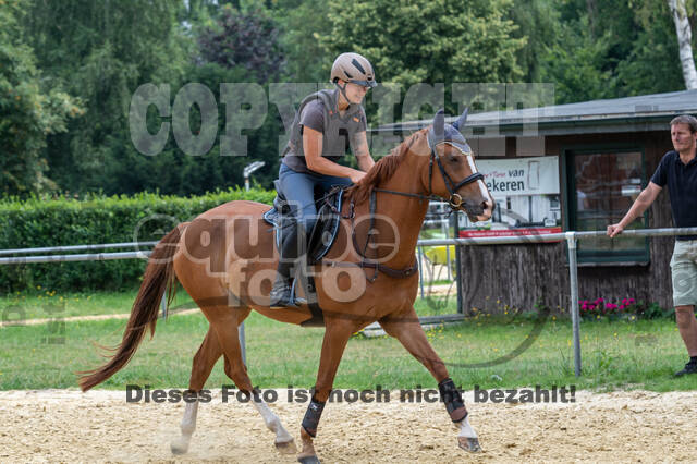 Hunter Geländetraining 10.07.2021 (Sonsbeck)