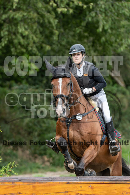 Late-Entry-Vielseitigkeit Langenfeld (06.+07.07.2020)