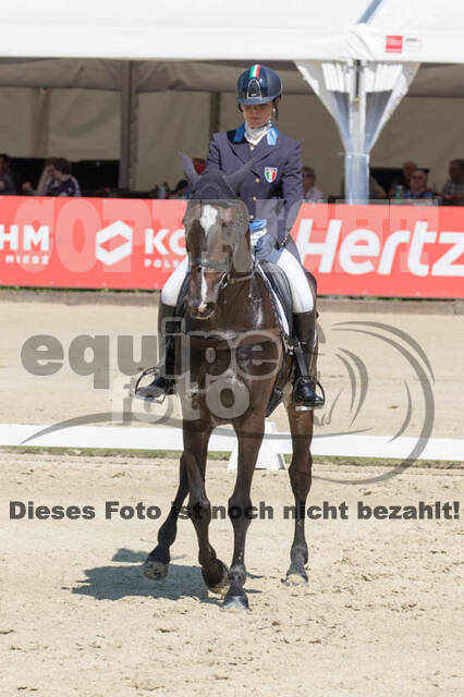 FEI European Championship