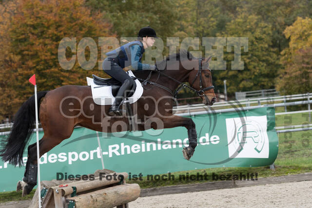 IGV Lehrgang der Sieger der Cups mit Frank Ostholt