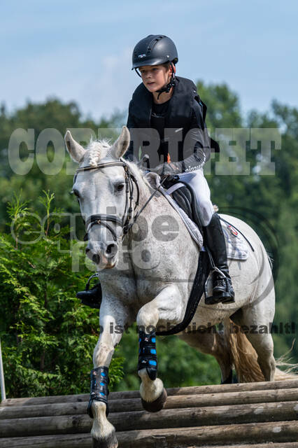 Goldene Schärpe 2021 - Ponys