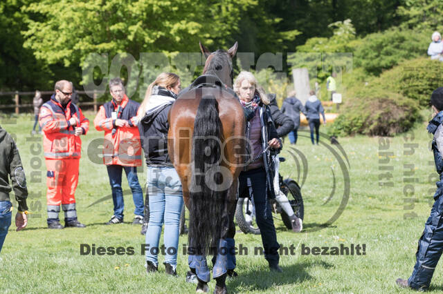 Sterne über Münster 2019 - CCI***S