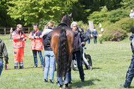 Sterne über Münster 2019 - CCI***S