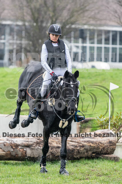 Goldene Schärpe 2020 - Pferde