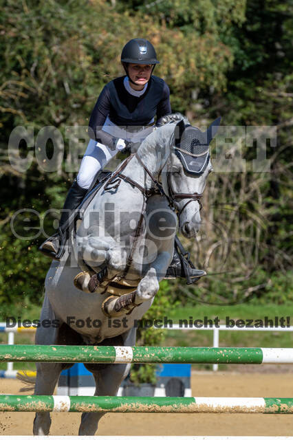 RFV Dinslaken-Hiesfeld (Herbstturnier)