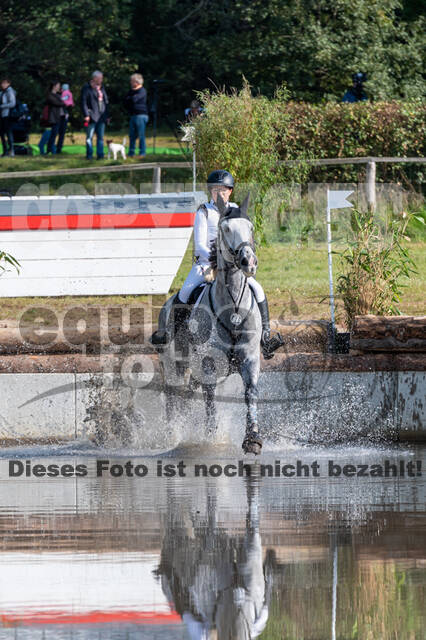 Deutsche Meisterschaft Vielseitigkeit (Luhmühlen)