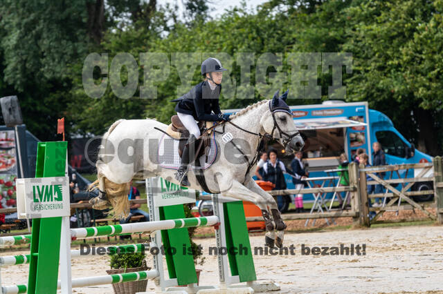 Goldene Schärpe 2021 - Ponys