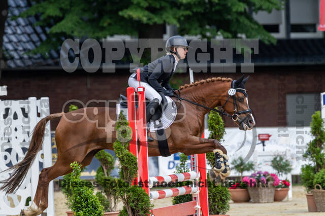 Goldene Schärpe 2021 - Ponys
