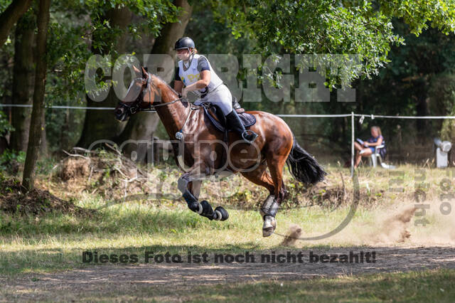 Late-Entry Vielseitigkeit Hamminkeln/Wesel (01.+02.08.2020)