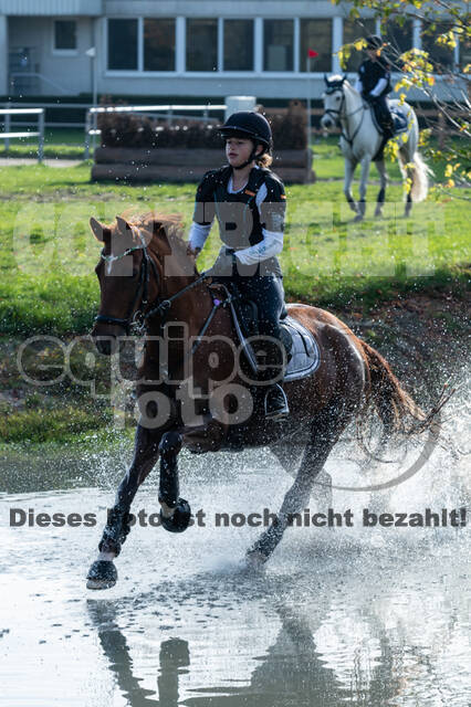 IGV Lehrgang der Sieger der Cups mit Frank Ostholt
