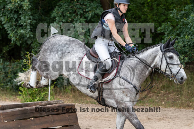 Late-Entry-Vielseitigkeit Langenfeld (11.+13./14.06.2020)