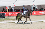 FEI European Championship