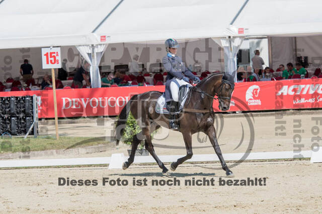 FEI European Championship