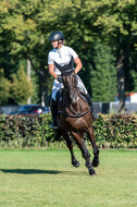 Kronenberg - De Peelbergen (August 2020)