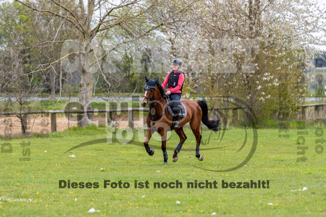 Geländetraining ZRFV Hamminkeln (24+25.04.2021)