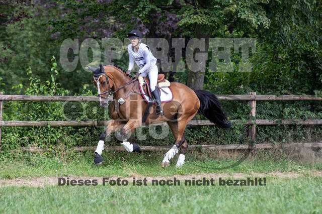 Late-Entry-Vielseitigkeit Gahlen (18.07.2020)