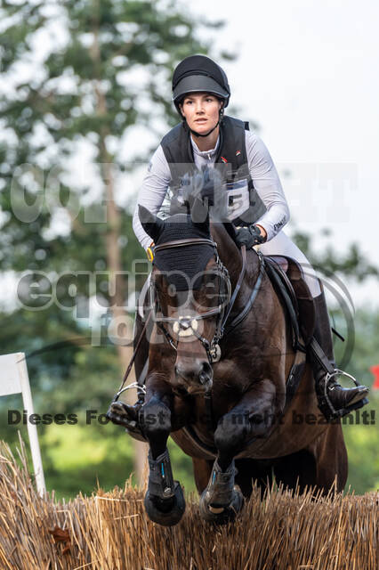 De Peelbergen (August 2020)