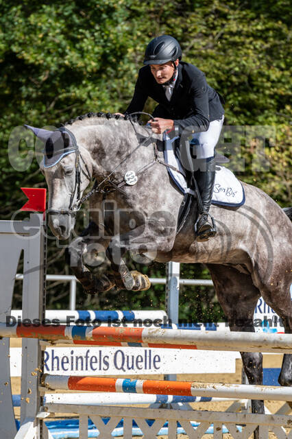 RFV Dinslaken-Hiesfeld (Herbstturnier)